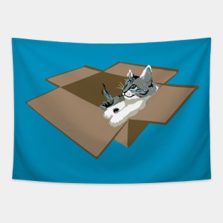 Kitty Box Party Tapestry