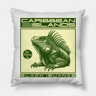 The iguanas of Isla Mujeres, Mexico Pillow