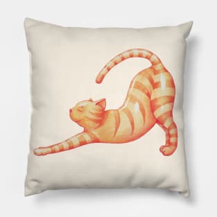 Yoga Cat Pillow