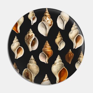 Shells Pin