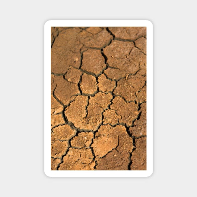 Dried soil texture Magnet by textural