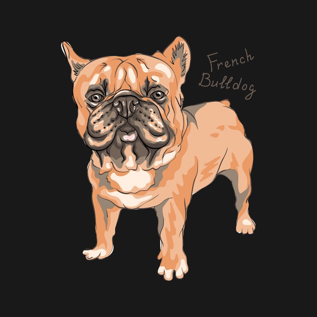 French Bulldog by kavalenkava