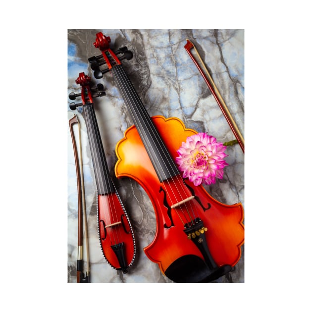 Baroque And pocket Violin With pink Dahlia by photogarry