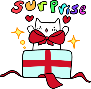 Surprise Birthday Cat Magnet