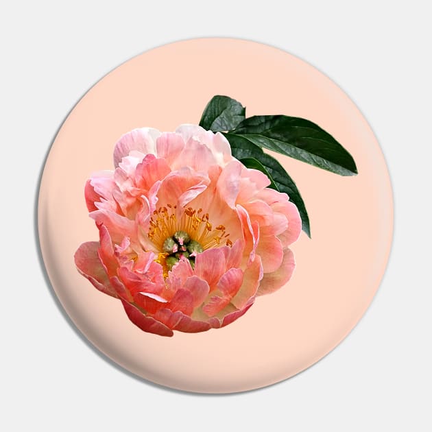 Pink Peony in Sunshine Pin by SusanSavad