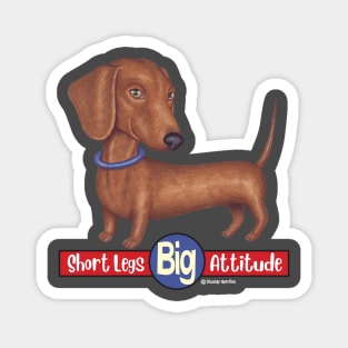 Doxie cute awesome attitude Dachshund with Blue Collar Magnet