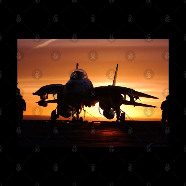 F14 Tomcat by Aircraft.Lover