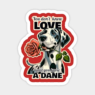 Great Dane Valentine's day Magnet