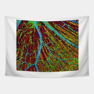 Retina blood vessels and nerve cells (P424/0244) Tapestry