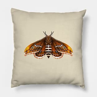 Emperor Moth Pillow