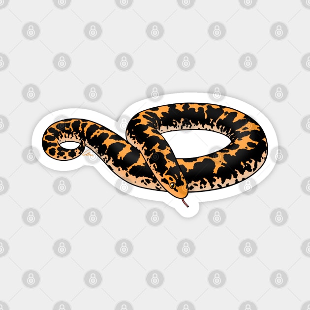Normal Kenyan Sand Boa Magnet by anacecilia