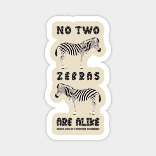 Ehlers Danlos Syndrome: No Two Zebras Are Alike Magnet