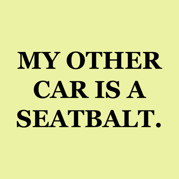 My Other Car Is A Seatbalt by Dear Earth, I'm Really Sorry