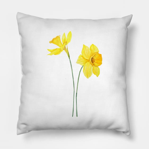 yellow daffodils watercolor painting Pillow by colorandcolor