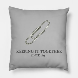 Keeping it together Pillow