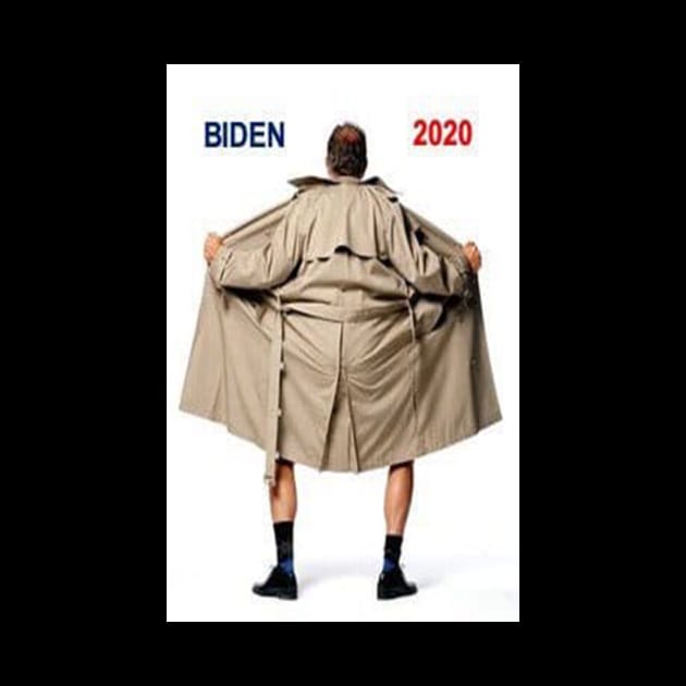 Biden 2020 by BlueDolphinStudios