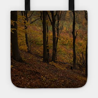 Dramatic Fall Tote