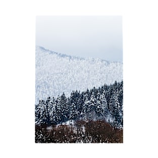 Forest in Winter - Conifer Trees Covered with Snow T-Shirt