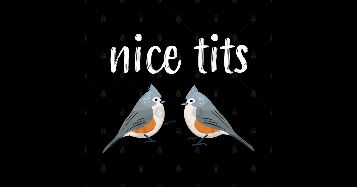 Nice Tits Tufted Titmouse Bird Watching Funny T Bird Watching Sticker Teepublic
