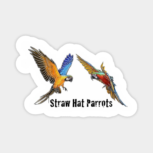 Straw Hat Parrots Luffy and Zoro: Color Magnet by Straw Hat Parrots