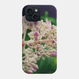 Pink Flowers Photography design with blue sky nature lovers Phone Case