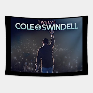 Cole Swindell twelve tour Tapestry