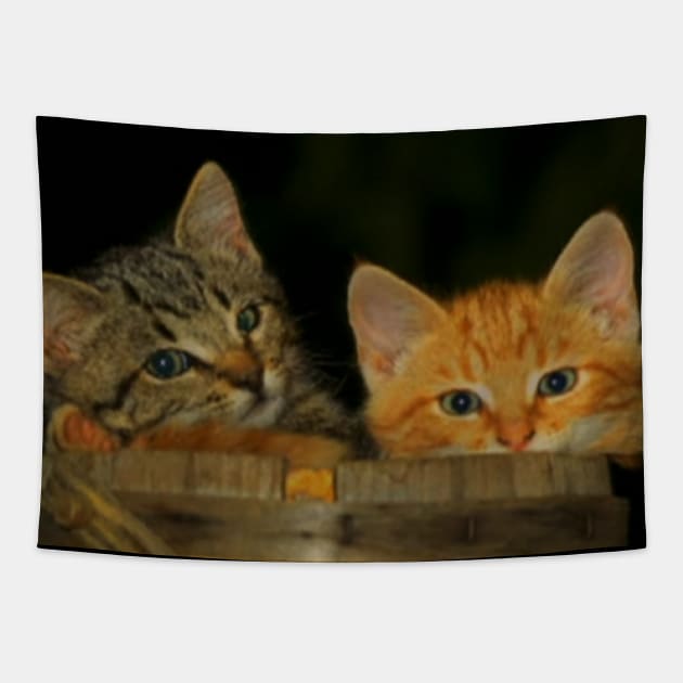 Howard Moon's Calming Kittens Tapestry by Meta Cortex