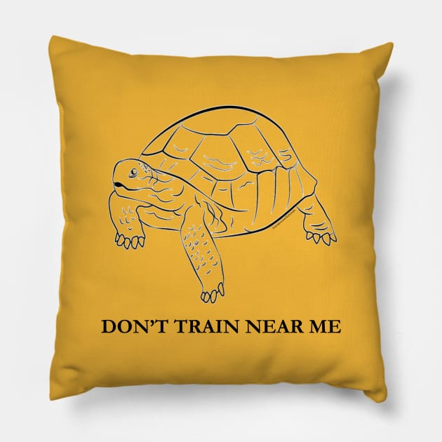 Don't Train Near Me Pillow by undercoverdonovian