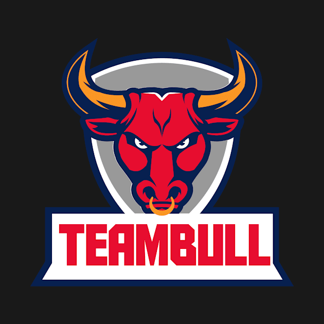 Team Bull by Designer's Inn