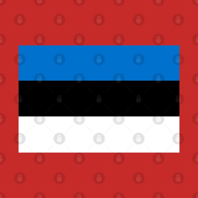 Estonia Flag by Historia