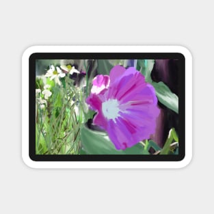 Morning Glory Magnet