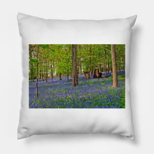 Bluebells Bluebell Woods Greys Court Oxfordshire UK Pillow