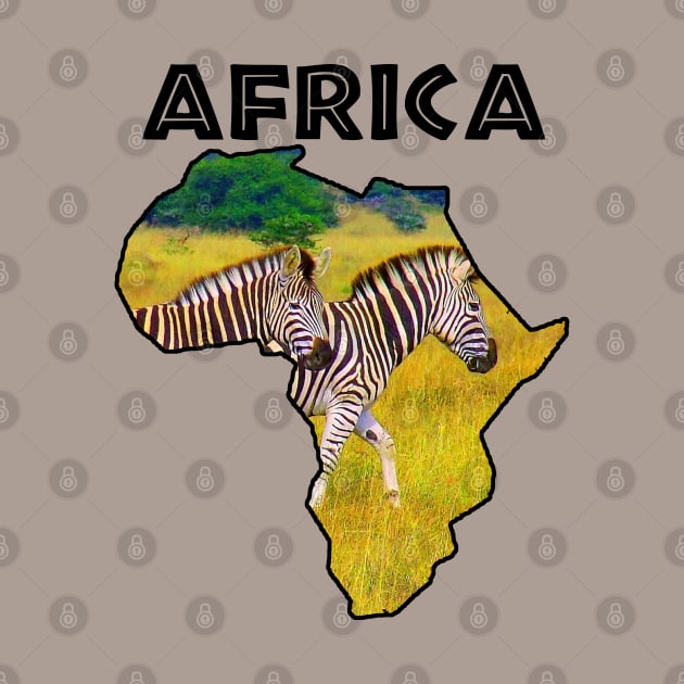 African Wildlife Continent Zebra Stroll by PathblazerStudios