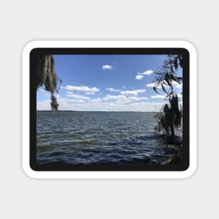 Florida Lake Magnet