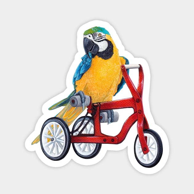 Parrot Macaw on Bike Magnet by ruta13art