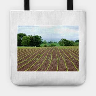 A Field For The Future Tote