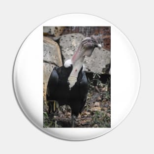 Andean Condor Pin