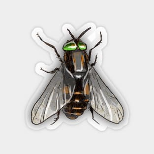 Bugs-3 Housefly Magnet