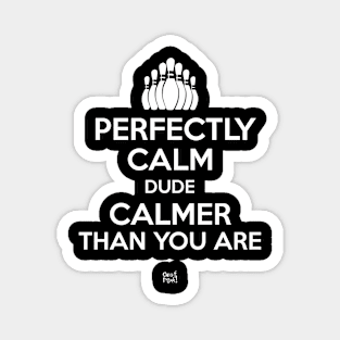 PERFECTLY CALM DUDE CALMER THAN YOU ARE Magnet