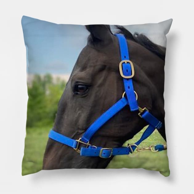 Dylan Pillow by SunshineHorses