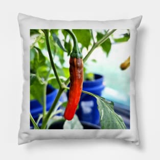 Tiger Thunder Pepper Pillow