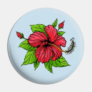 hibiscus flower hand drawn Pin