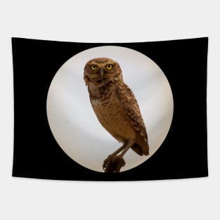 owls lover Tapestry