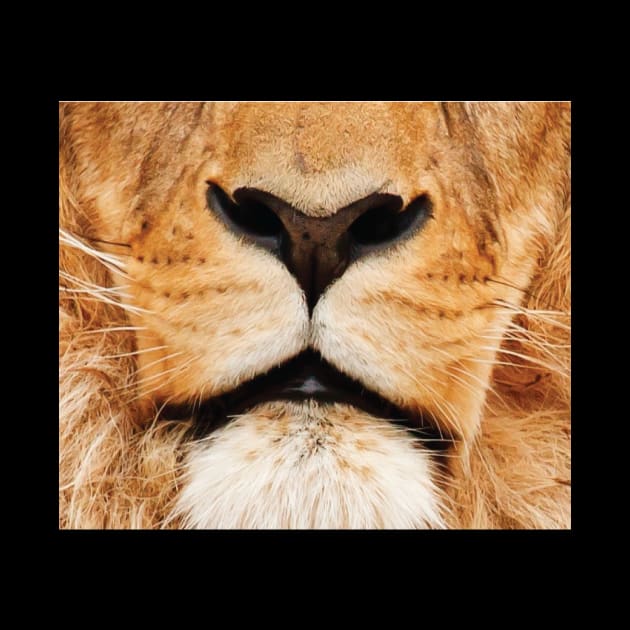 lion mouth face mask - lion lover gifts - lion face masks - funny masks for animals lover by jack22