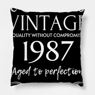 Vintage 1987 - Birthday Gift For Men Pillow