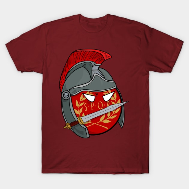 The Polandball Tee The Polandball Tee