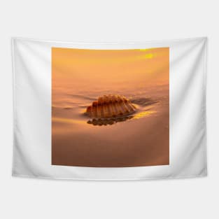 Cute Seashell on a sandy beach Tapestry