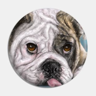 Painting of a brown and white Bulldog lying down with his tongue out Pin