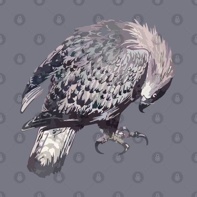 Eagle by CatyArte