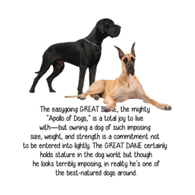 Great Dane Size Chart